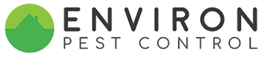 SameDayBedBugPestControl