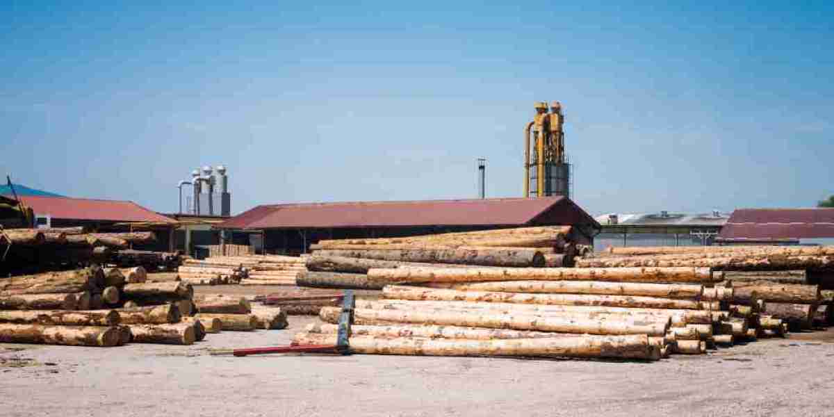 The Significance of Sustainable forest management Services