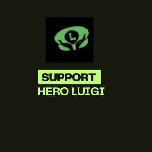 Support Hero Luigi