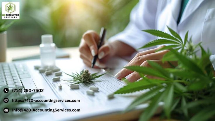 Pin on 420 Accounting Services