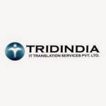 TridIndia Company