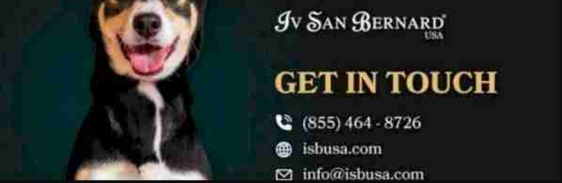 Iv San Bernard USA