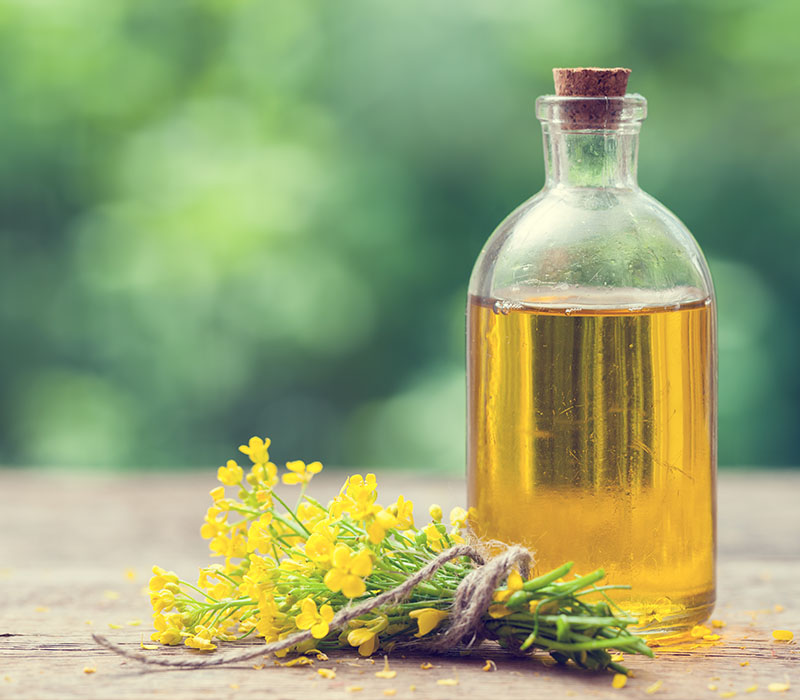 Finding the Best Canola Oil Suppliers in Canada: What You Need to Know - TheBlogyfi