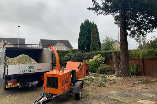 Tree Removal & Tree Cutting Services In Aberdeen | Tree Removal Aberdeen