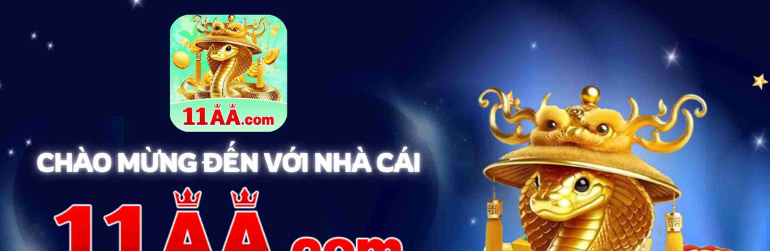 11AA Plataforma Oficial