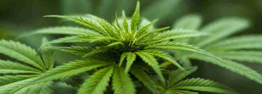 West Coast Cannabis