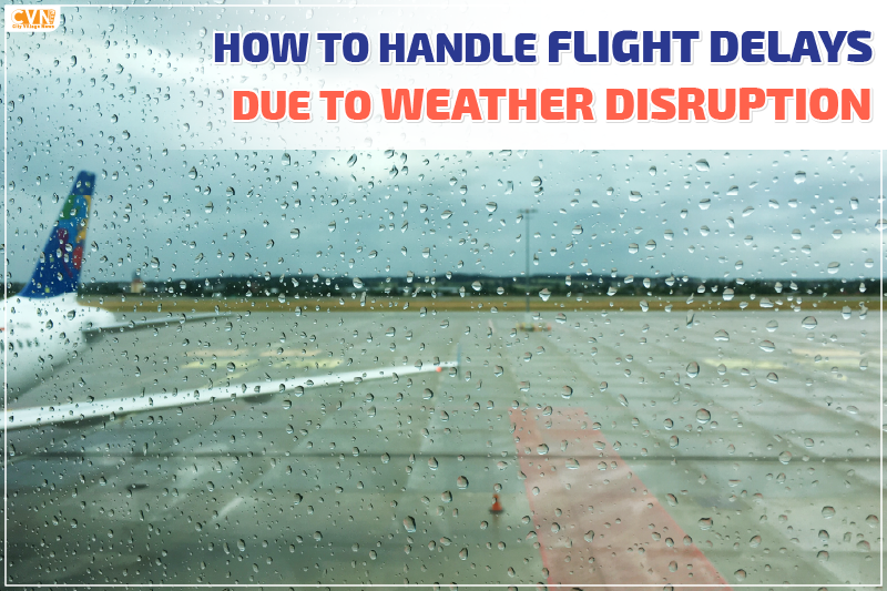 Explore What to Do If Your Flight Is Canceled or Delayed