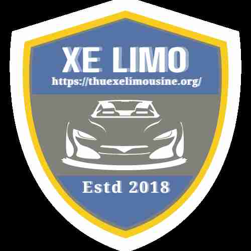 Cho Thuê Xe Limousine 9 Chỗ Tại TPHC