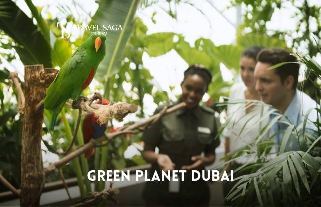 The Green Planet Ticket Dubai - The Green Planet City Walk | Travel Saga Tourism