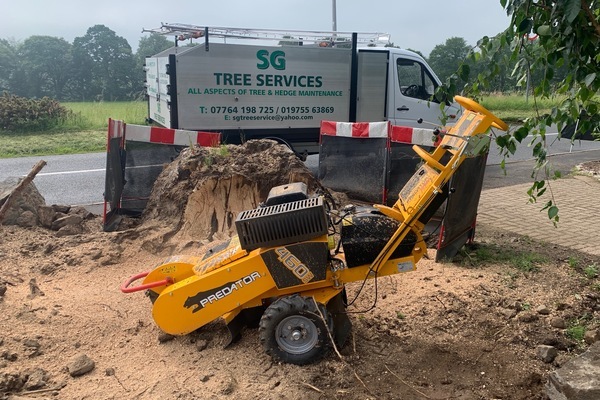 Tree Stump Grinding & Removal Aberdeen | Stump Grinding Services, UK