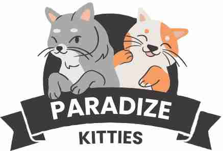 Paradize Kitties Home