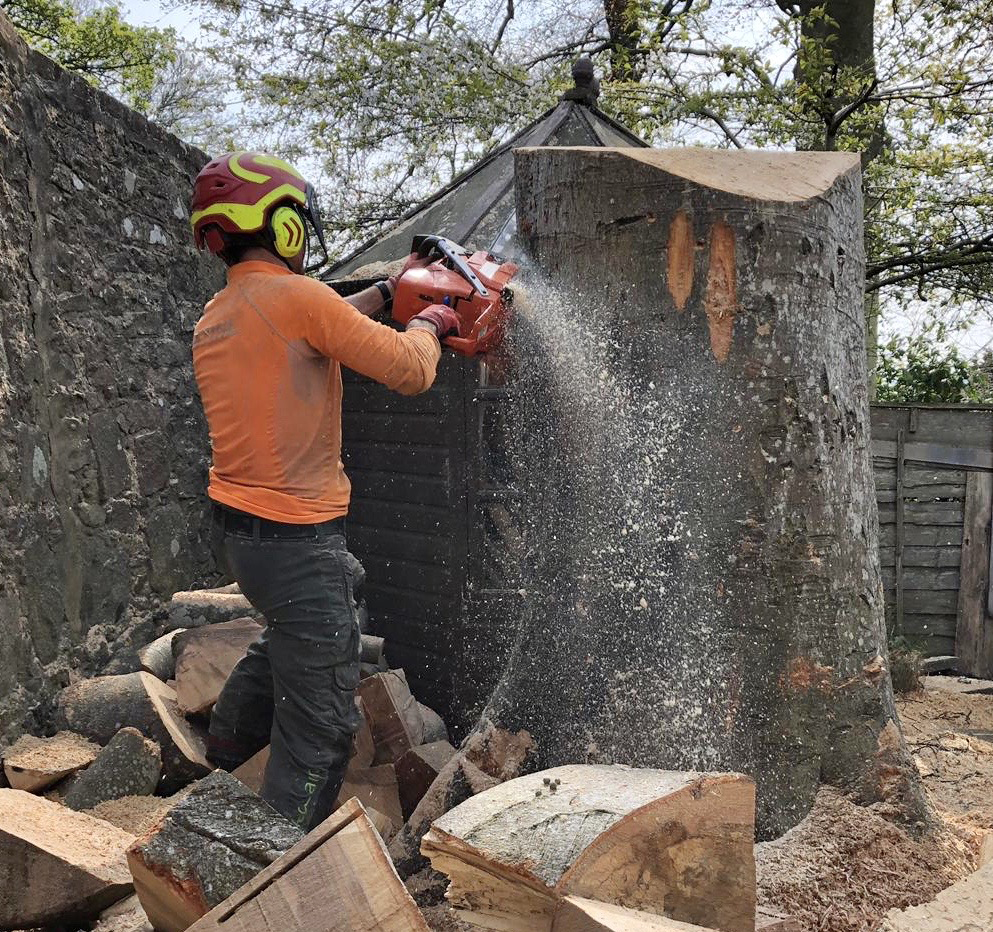 Tree Surgeons Aberdeen | About The Tree Surgeons in Aberdeenshire