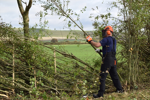 Garden Maintenance Services in Aberdeen
