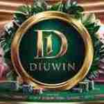 Diuwin game