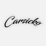 Car Sicko