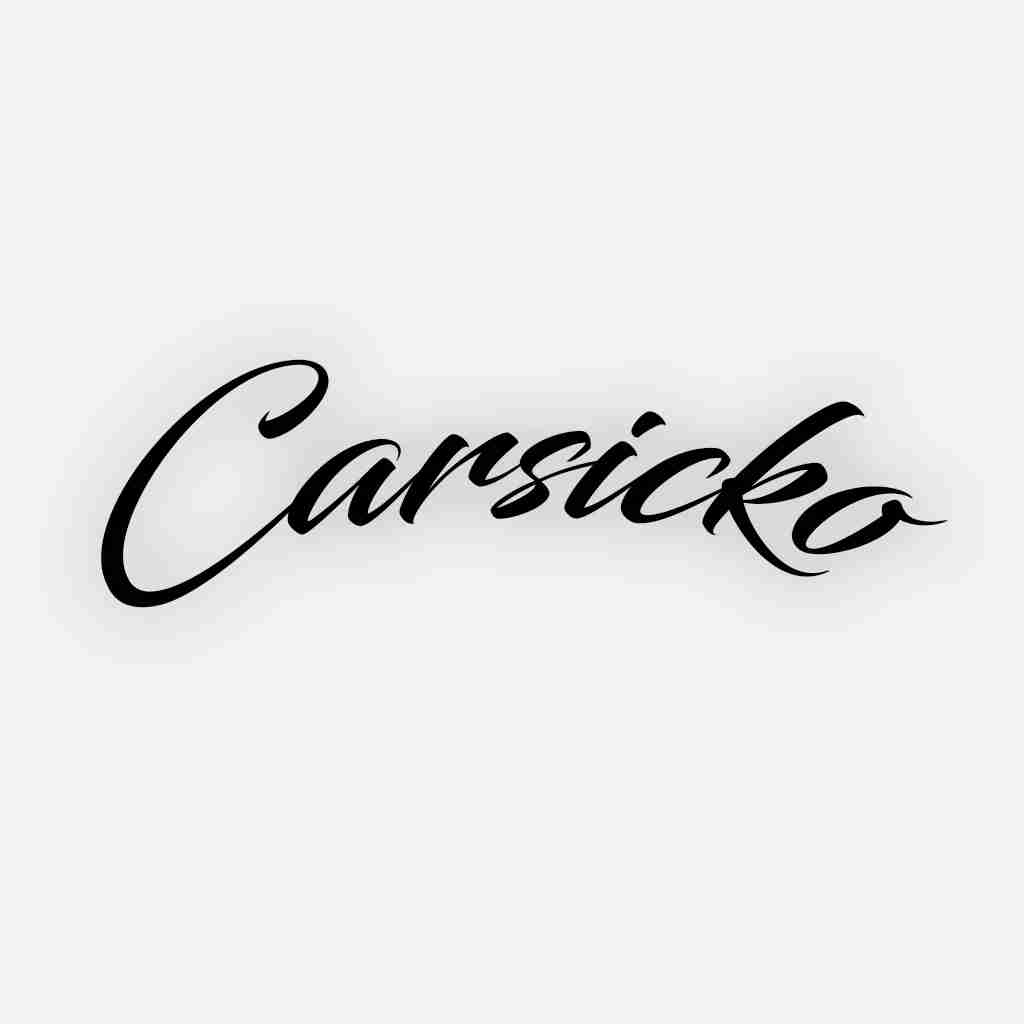 Car Sicko