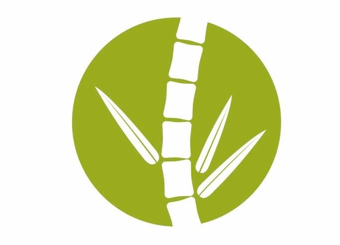 Chiropractor in Mundingburra, Townsville | Bamboo Chiropractic care