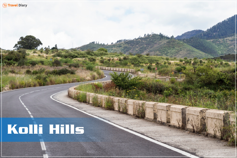 Kolli Hills: A Winding Road With 70 Hairpin Bends