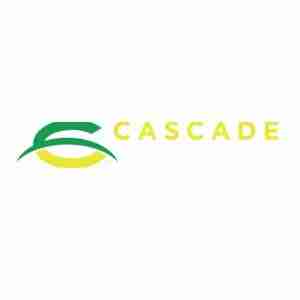Cascade Collision Repair
