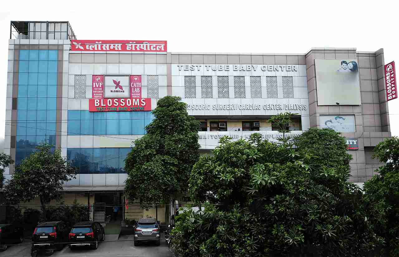 Blossoms Hospital