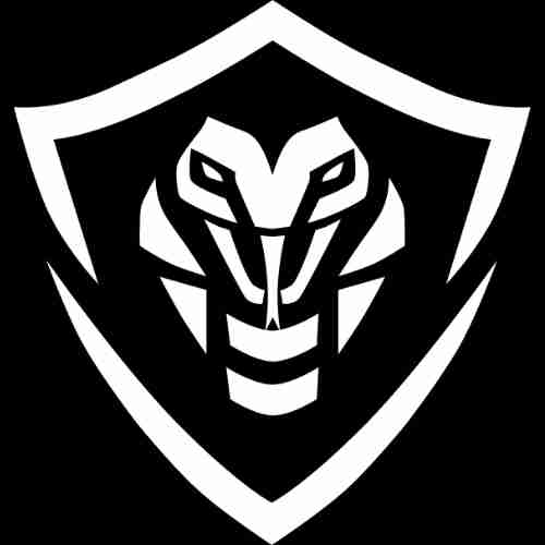 Black Cobra VPN
