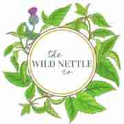 Wild Nettle21 Nettle21