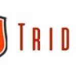 Trident Shipping and Trading PTE LTD