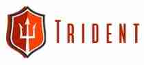 Trident Shipping and Trading PTE LTD