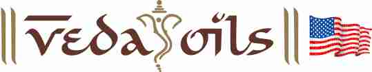 Animesh Jaswal