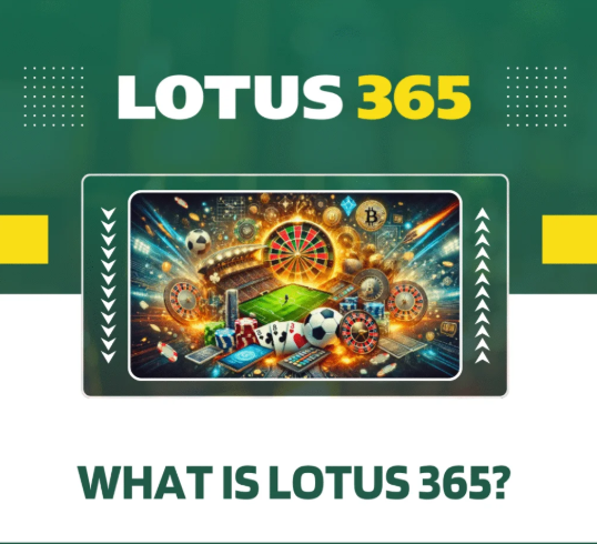 lotus app cricket