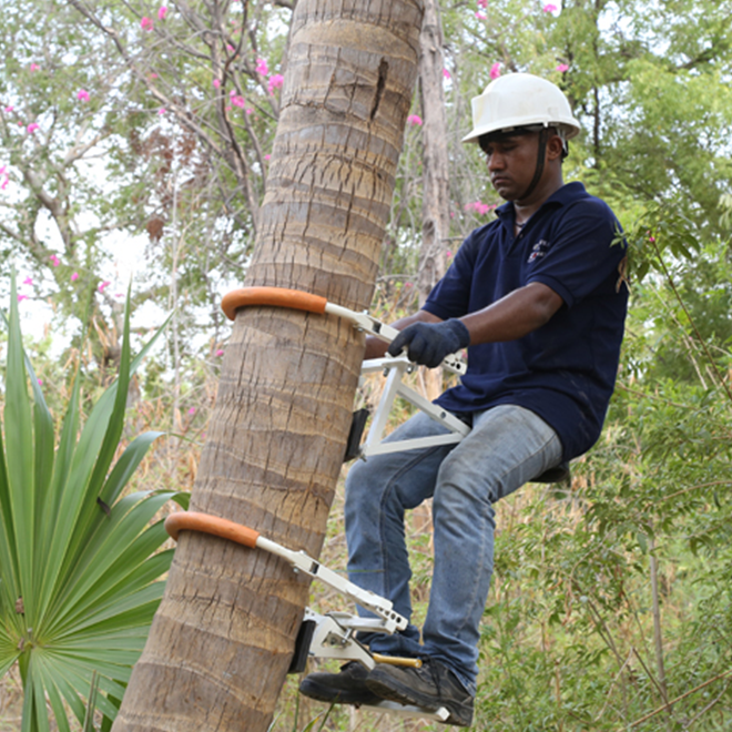 Why Indian Inovatix Is a Trusted Manufacturer of Coconut Tree Climbing Devices