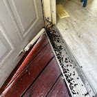 Take Back Your Space: Expert Pest Control Solutions in Gaithersburg