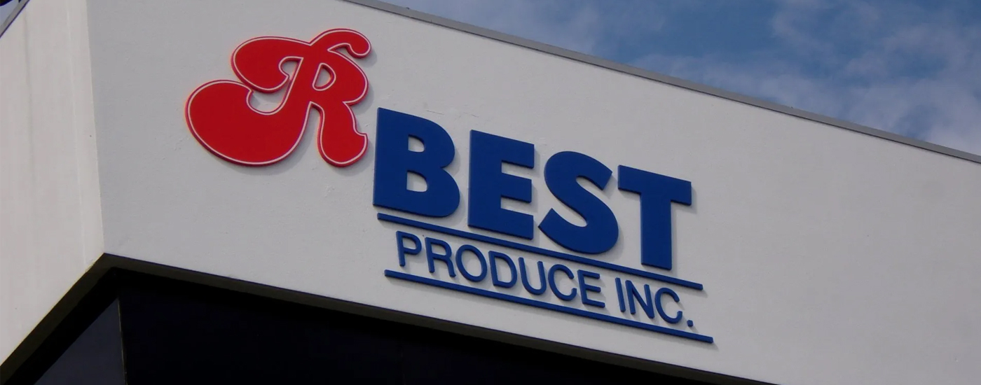 Logo Creation Services NYC: Boost Your Brand Value with Stunning Designs