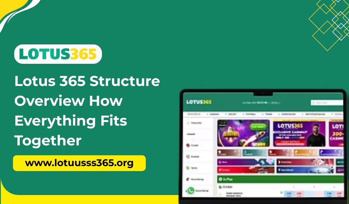 Lotus 365 Structure Overview: How Everything Fits Together