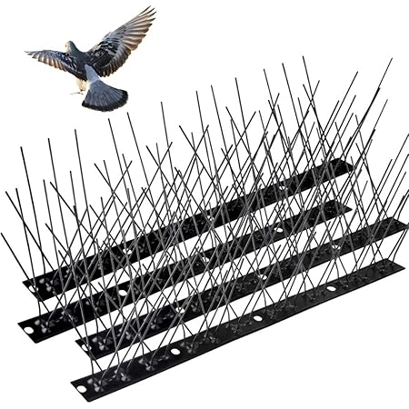Reliable Bird Spikes Solutions for Homes and Buildings