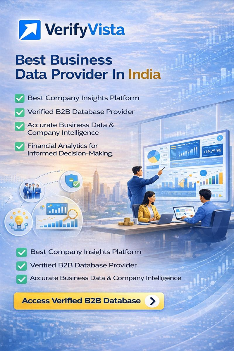 How Verify Vista Helps Businesses See What Data Is Really Saying