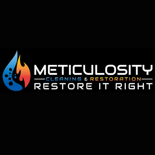 MeticulosityCleaning