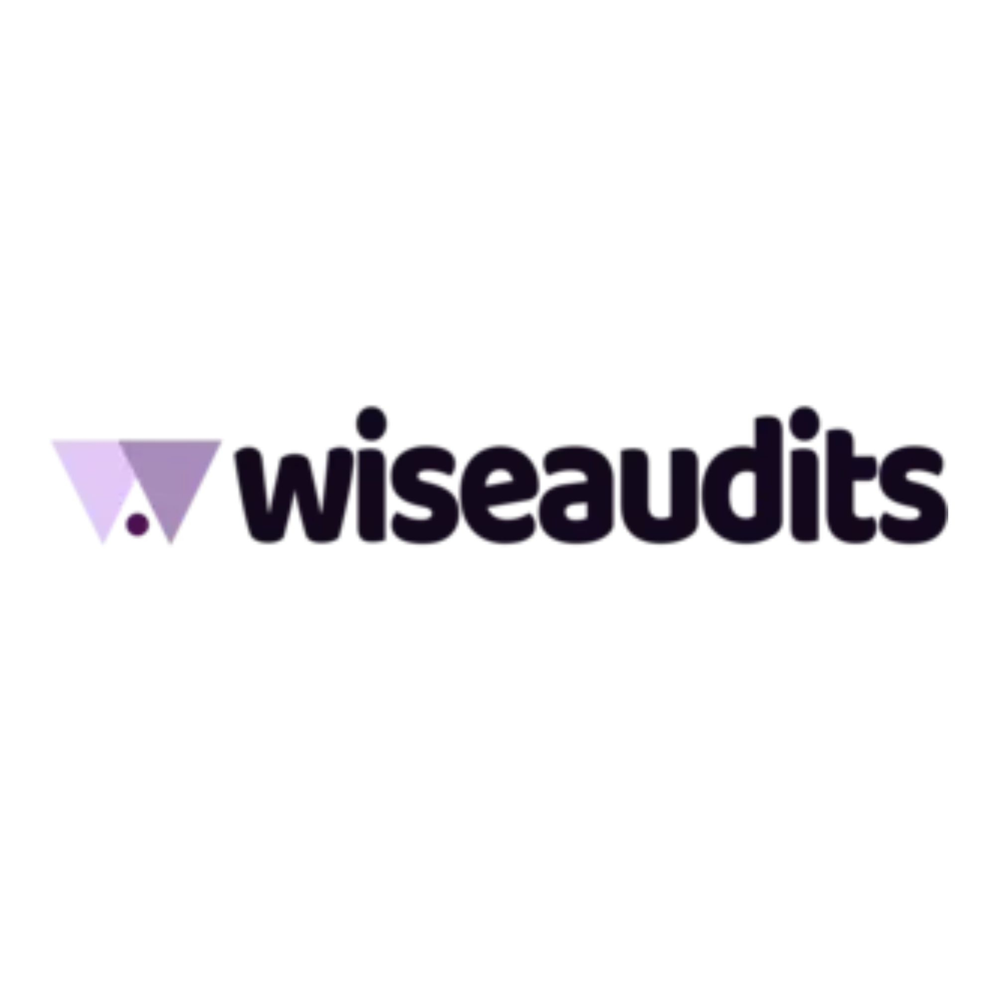 wiseaudits