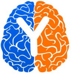 YMetaconnect13