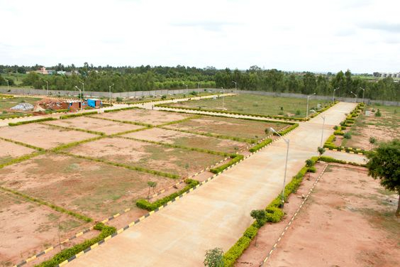 plotsinnoida